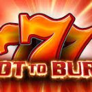 Hot to Burn
